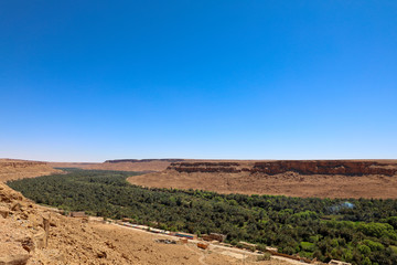 Green oasis.  Desert in Morocco.