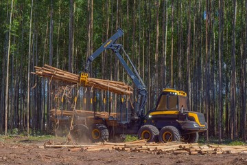 Logging Equipment Forestry Machine