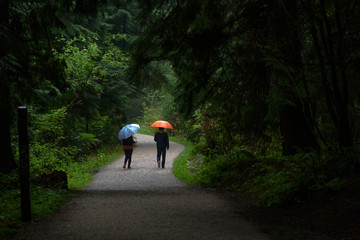 person walking  in Stanley park Vancouver Canada