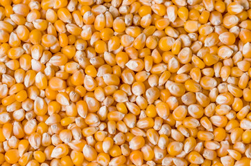 Beautiful pop corn background for various use. Popcorn corn grai