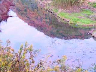 日本の田舎の風景　11月　川辺の夕景　鴨
