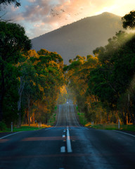 Road to Mt Macedon © orkust