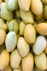 photo tropical mango fruit on the counter of the supermarket