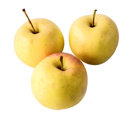 Set of yellow apples isolated on white background