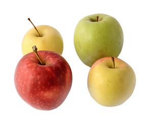 Set of color apples isolated on white background
