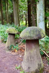 韓国 / チェジュ島のサリョニ森