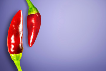 Two red peppers. Background