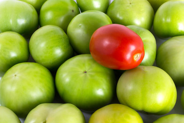 Set of a red and green tomato for background