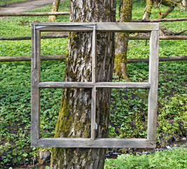 Exhibition of paintings in the forest - aged window frame are nailed to the old trunk of a tree