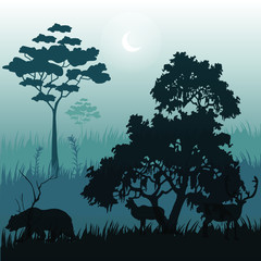 Wild Night landscape Forest Animal Moon