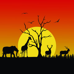 Fototapeta na wymiar Wild Night landscape Forest Animal Sunset
