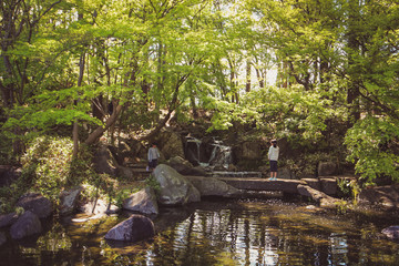 Fototapete bei efototapeten.de bestellen   