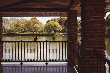 Fototapete bei efototapeten.de bestellen   