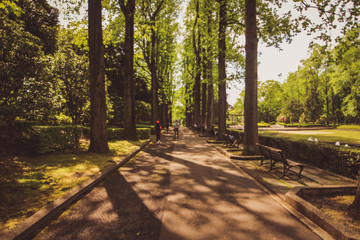 Fototapete bei efototapeten.de bestellen   