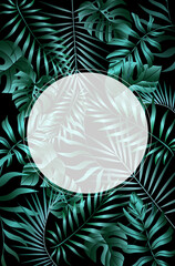 Tropical leaves background. Summer vector illustration. Design for postcard, wallpaper, digital, web sites and social media. Jungle foliage backdrop.