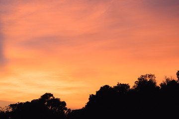 The red sky after the sunset with the tree is black.