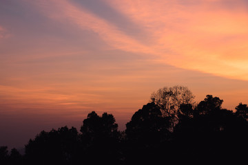 The red sky after the sunset with the tree is black.