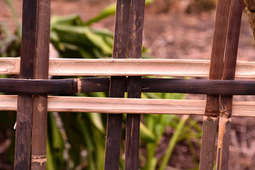 Fototapeta na wymiar Bamboo fence
