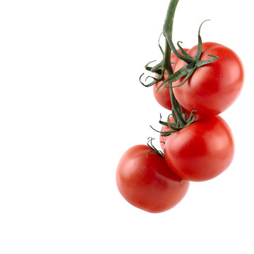 Ripe Tomatoes On The Vine, White Insulated Background