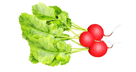 bunch of radishes