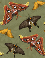 Illustrations of tropical butterflies, seamless pattern