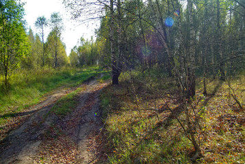 dirt road through a field in autumn, Russia