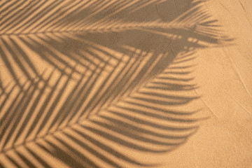 shadows palm leaf on beach texture background © lamyai