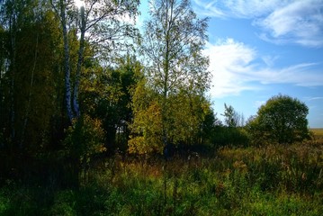 Obraz premium landscape of Central Russia in autumn, Tula region