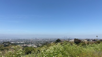 Los Angeles Hiking View
