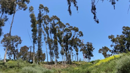 California Hiking Trail