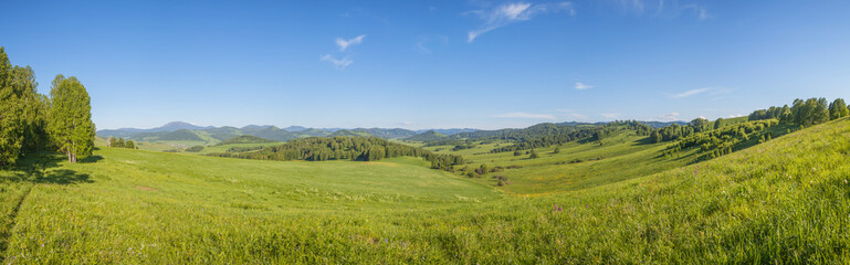 Fototapeta na wymiar Green meadows and fields, blue sky. Hilly terrain, blue sky, spring view.