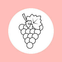 Icon bunch of grapes with a leaf.Contour drawing of fruit.Vector illustration.