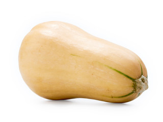 Butternut squash on white background.