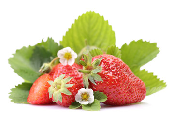 Strawberries on a white background