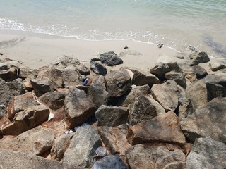 seaside rock at the coastline beach
