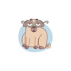 Cute pug dog. Pug puppy. Cartoon animal. Glasses. Clever dog. Isolated vector object on white background.
