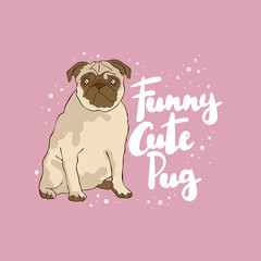 Fototapeta premium Funny cute pug. Lettering. Dog Pug. Cartoon animal. Isolated vector objects. Pink. 