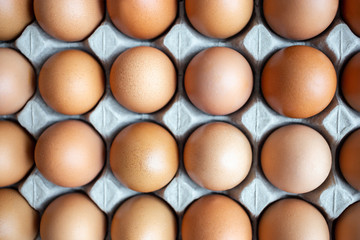 closeup of fresh chicken egg on egg box, panel, on white background with one fragile egg shell for cook for food of meal and fresh and natural egg