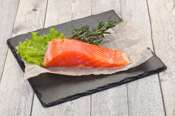 Piece of raw salmon
