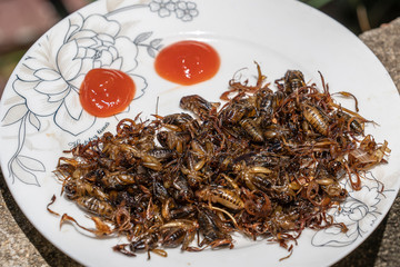 Many crickets for eat on a plate, Vietnam, closeup. Fried insects a delicious Vietnamese dish.