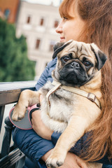 Woman hugs a funny puppy with love outdoors. Dog of a pug breed with owner happy together. Pet care