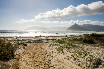 natural beach with seaweed and seagrass