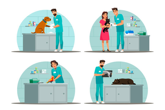 Vector character illustration veterinary scene set