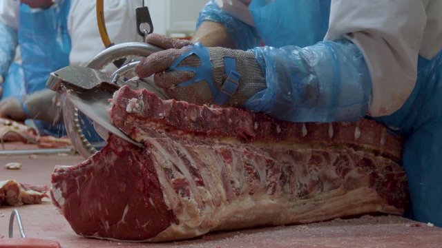 Buzzsaw at slaughterhouse being used to remove cow carcass spine