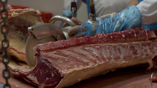 Butcher sawing cow carcass ribs in slow motion