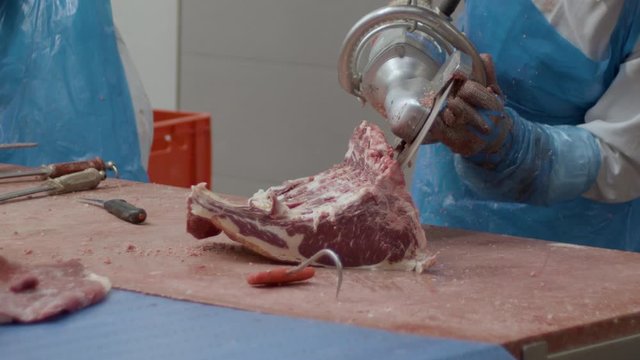 Butcher sawing in to ribs from cow carcass