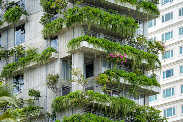 Fototapeta na wymiar Ecological buildings facade with green plants and flowers on stone wall of the facade of the house on the street of Danang, Vietnam