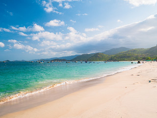 Secluded tropical coast line turquoise transparent water palm trees, undeveloped bay Quy Nhon Nha Trang, Vietnam central coast travel destination, no people clear blue sky, expansive view