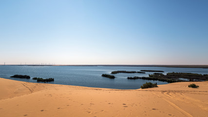 Fototapeta na wymiar The Yellow Lake in the Desert of the Kingdom of Saudi Arabia