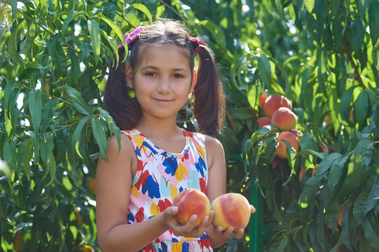 girl with peaches . a child holds fresh fruit in his hands